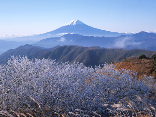 42527 (a): :1600x1200